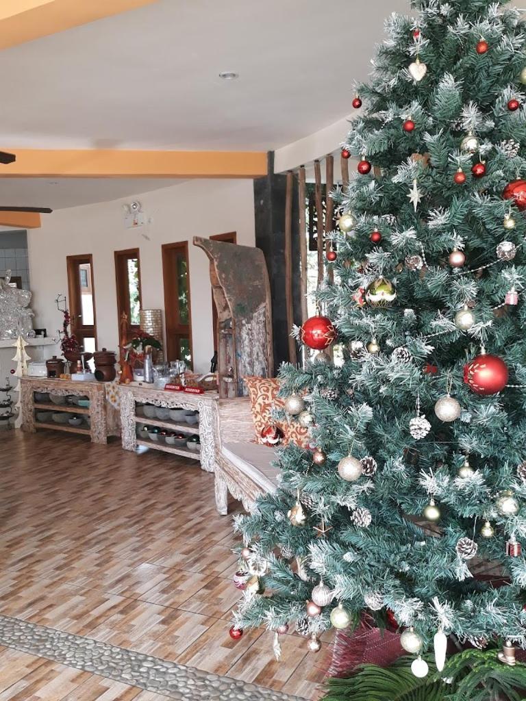 Luz_ita Sunshine Villa *